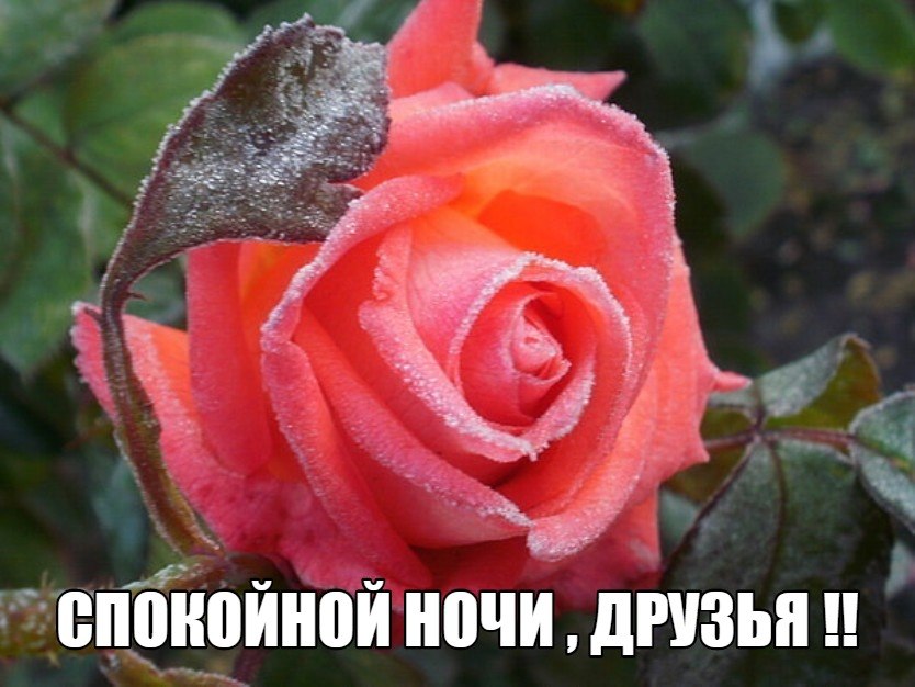   ,    . - 15  2019  18:11