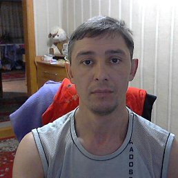 ������, ��������, 50 ���