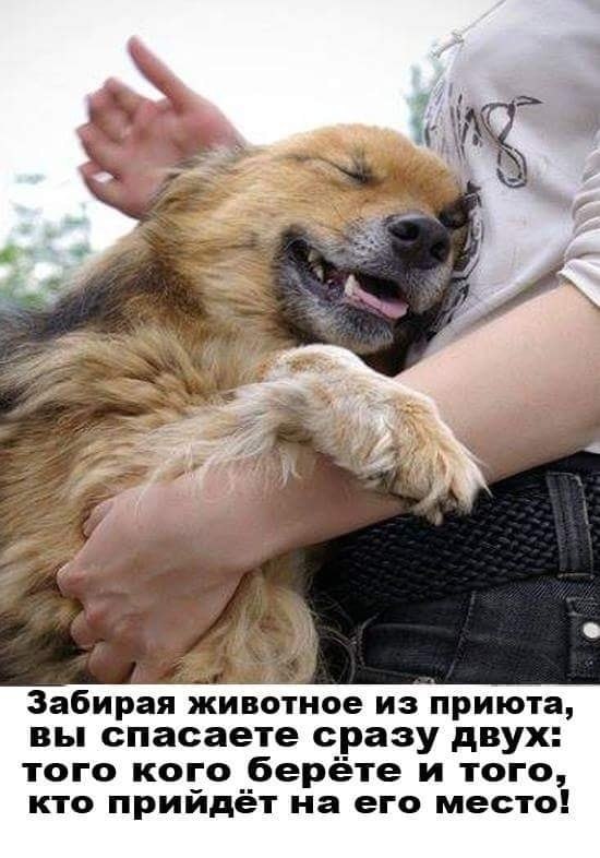    .  .  .