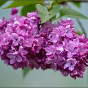 ���� ����, ����� - ��������� 26 ���� 2019 � ������ ���� ����������