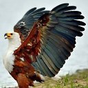 ���� ��������, ������, 63 ���� - ��������� 11 ��� 2019 � ������ ������ ��������