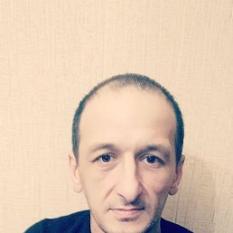 �����, �������, 46 ���