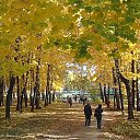 ���� ��������, ������, 71 ��� - ��������� 14 ������ 2019