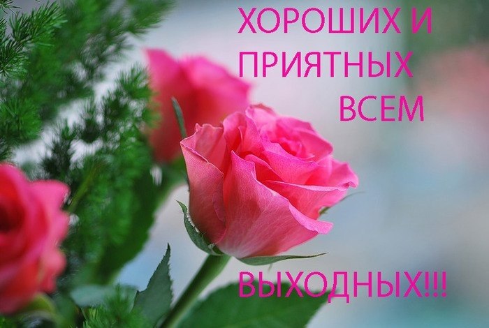   ,    . - 30  2019  21:31