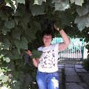 ���� ������, ������, 62 ���� - ��������� 27 ������ 2019 � ������ ���� ����������