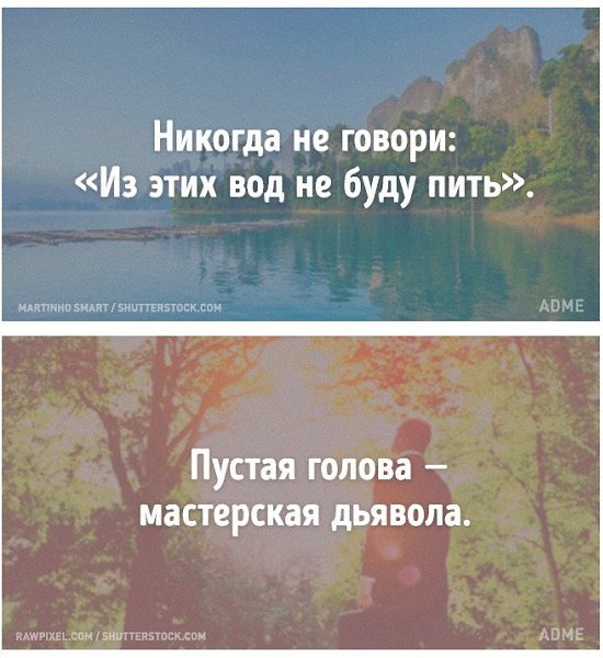 Мудрость португальского народа, проверенная годами: - 8