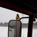 ���� ����, ����������, 51 ��� - ��������� 6 ������ 2019 � ������ ���� ����������
