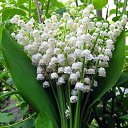 ���� �����, ������, 56 ��� - ��������� 7 ������ 2019