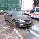 ���� ���, �����-���������, 46 ��� - ��������� 31 ������� 2019 � ������ ���� ����������