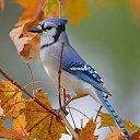 ���� ����, ����� - ��������� 7 ������ 2019 � ������ ���� ����������