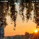 ���� �����, ���� - ��������� 12 ������ 2019 � ������ ������ ��������