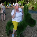  ,  , 52  -  11  2019   2019