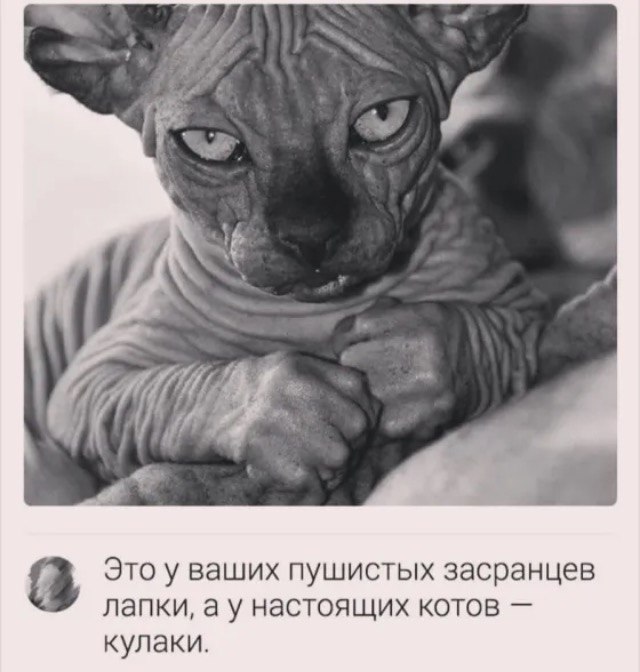 ������ �� ���... - 9 ������� 2019 � 17:36