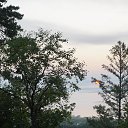 ���� �������, ������������, 59 ��� - ��������� 29 ���� 2019 � ������ ������� ������