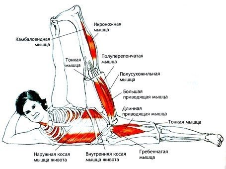 Анантасана. Показания: Боли в спине, небольшие искривления позвоночника, ожирение, стресс. ... - 2