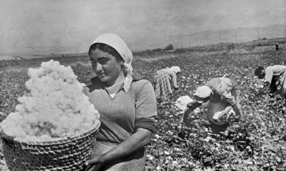 Мы произросли из послевоенного щебня. Хлопководство в СССР 1940. Сбор урожая в СССР 1940. Сельское хозяйство Армении в 30е годы. Хлопчатом поле Узбекистане СССР.