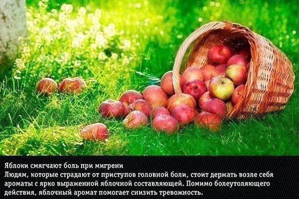 А вы это знали? 9 прирoдных aроматов, нeожиданно мeняющие эмoции человека - 7