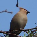  ,  -  5  2019      2019