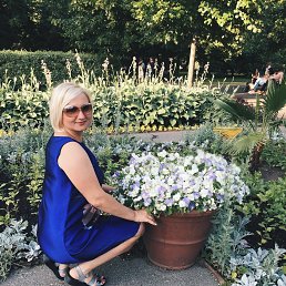 ������, ������, 43 ����