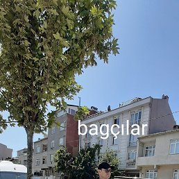 Jasur Narbayew, �������, 40 ���