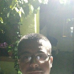 ���� �������, ��������, 41 ��� - ��������� 31 ������� 2019