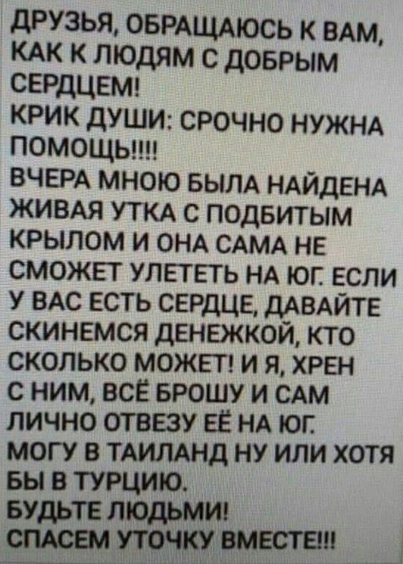 ����. - 24 ������� 2019 � 11:40