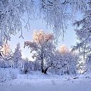 ���� ����, ������, 71 ��� - ��������� 5 ������� 2019 � ������ ���� ����������