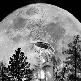 �ina, ������, 57 ���