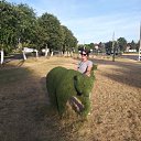 ���� ��������, ���������, 32 ���� - ��������� 22 ���� 2019 � ������ ���� ����������