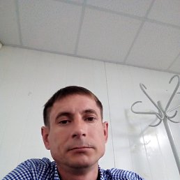 �������, ������, 46 ���