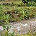  , , 50  -  26  2019   --