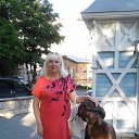 ���� ������, ����������, 52 ���� - ��������� 9 ���� 2019 � ������ ���� ����������