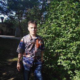 �������, ���������, 46 ���