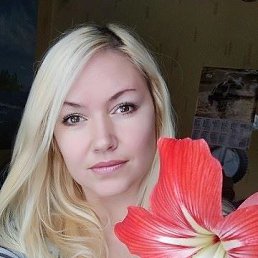 ���� �������, ������, 43 ���� - ��������� 23 ���� 2019