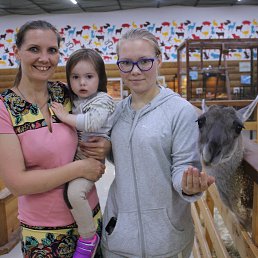 ���� ������, �����-���������, 44 ���� - ��������� 2 ���� 2019