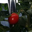 ���� ����, �������, 49 ��� - ��������� 16 ������� 2019 � ������ ��������� ��������