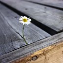 ���� ������, ������� - ��������� 18 ������� 2019 � ������ ������ ��������