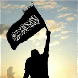 �������, �������, 47 ���