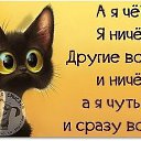 ���� ������, ������������, 49 ��� - ��������� 14 ���� 2019 � ������ ���� ����������
