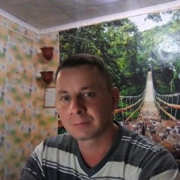 �������, �����, 46 ���