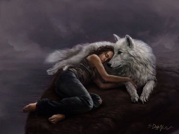 SteveDeLaMare. ! - 3