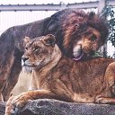 ���� ����, ���� - ��������� 7 ���� 2019 � ������ ���� ����������