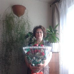 �����, ��������, 56 ���