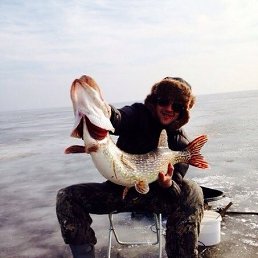 ���� ������, �����-���������, 42 ���� - ��������� 24 ���� 2019