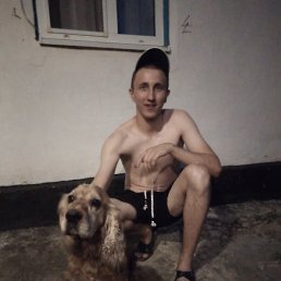 ������, ���������, 27 ���