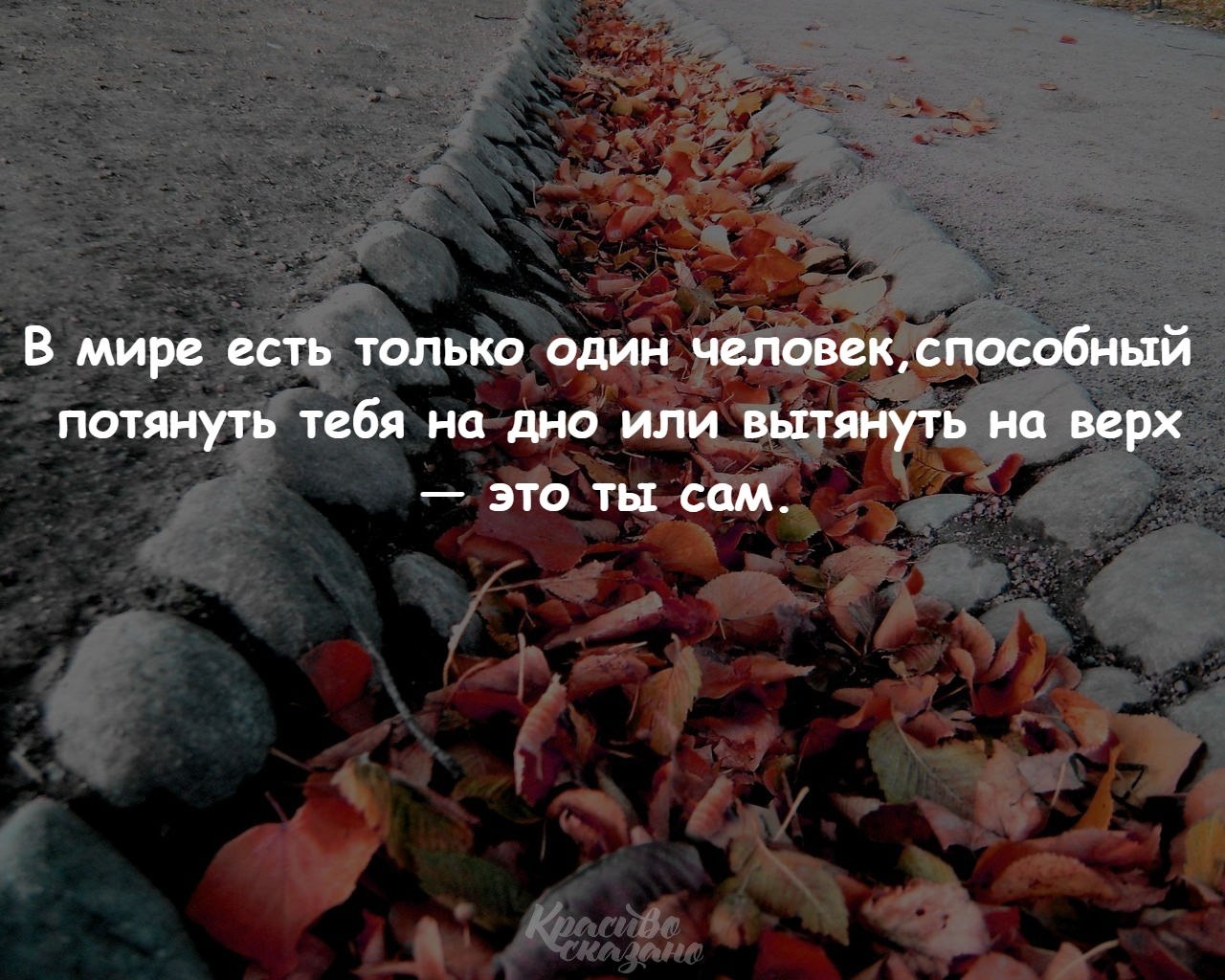 Дейл карнеги цитаты. Есть только миг между прошлым и будущем. В мире есть только одна сила способная. Цитаты на аватарку со смыслом. В этом мире есть только я.