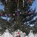 ���� ��������, �����������, 40 ��� - ��������� 3 ������ 2020 � ������ ���� ����������