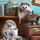 ���� �����, ����������, 44 ���� - ��������� 16 ������� 2019 � ������ ������ ��������