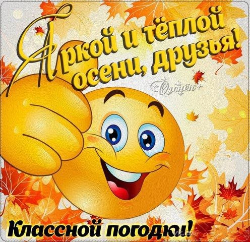 Одноклассники Смешные фотографии животных, Открытки, Фотографии животных