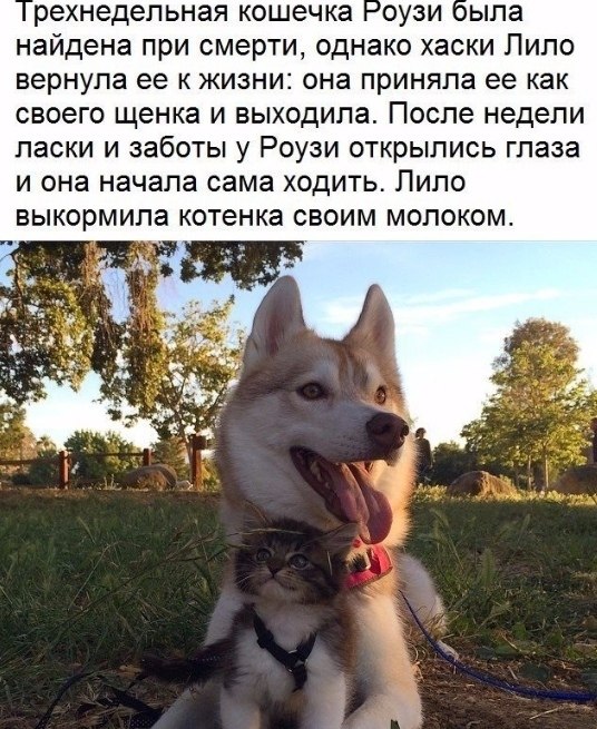  ... - 7  2019  03:40